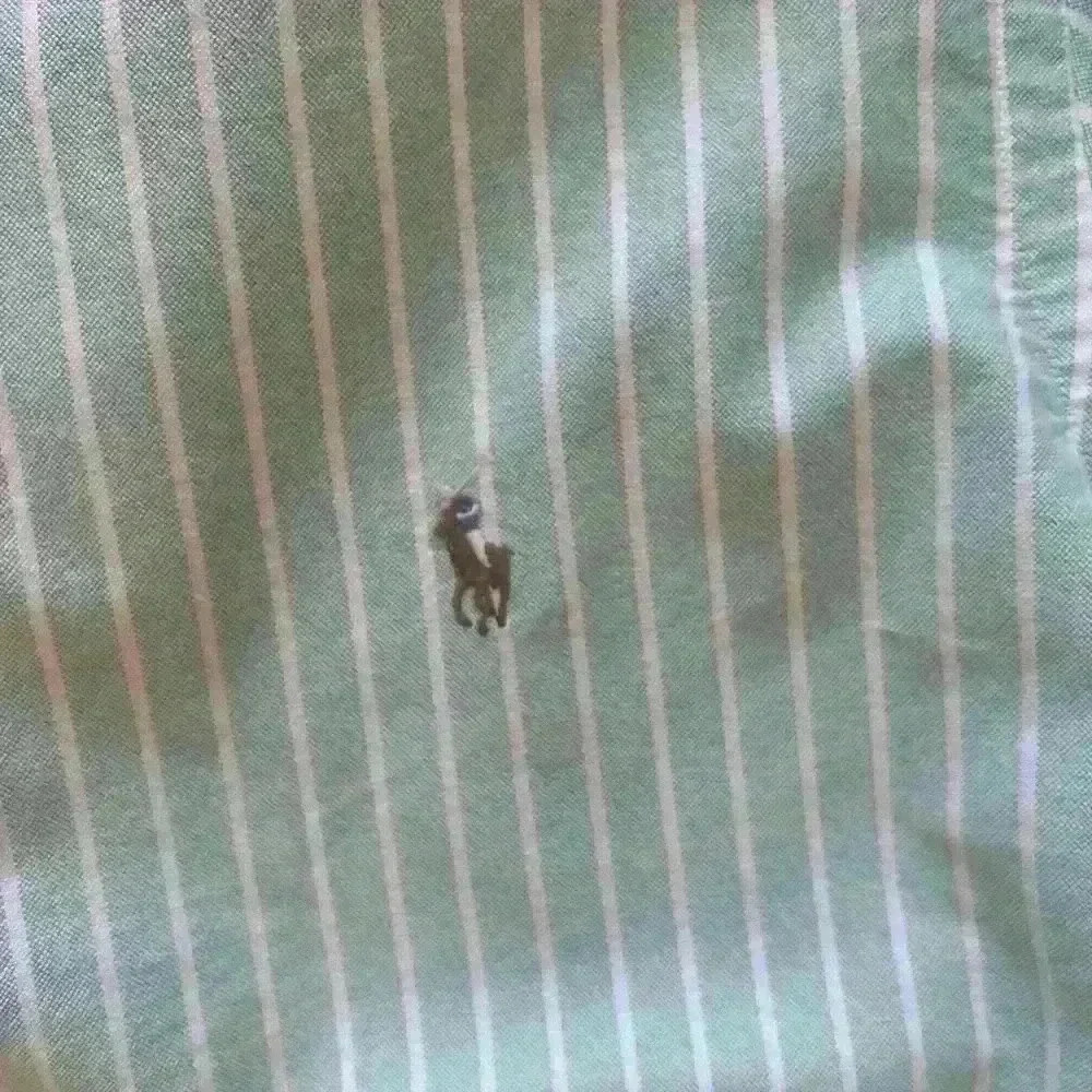 Ralph Lauren Men’s Oxford Shirt - Picture 5 of 5